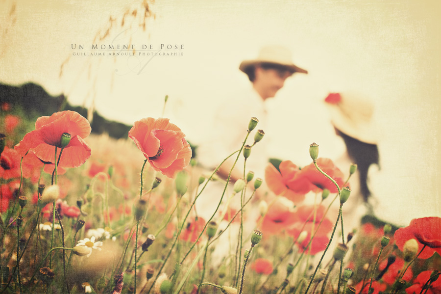 temp_David_&_Eloise-10